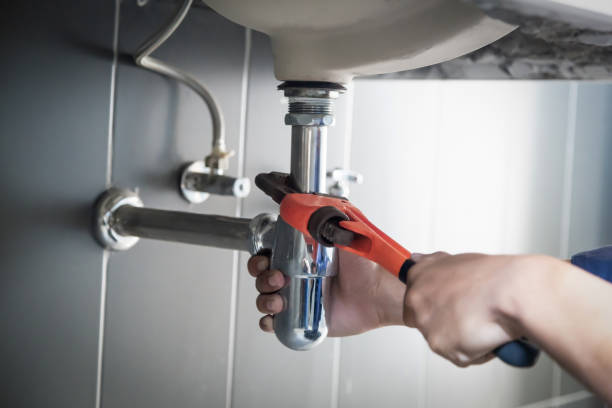 Best Local Plumber Services  in Decatur, MI