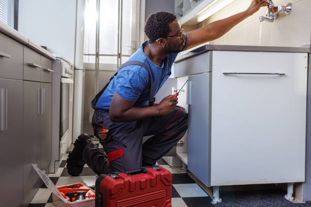 Best Plumbing Services Near Me  in Decatur, MI